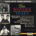 W G Snuffy Walden - Original Music From The Wonder Years