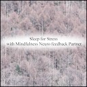 Mindfulness Neuro Feedback Partner - Sound of Water Acoustic Original Mix