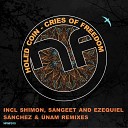 Holed Coin - Cries of Freedom Sangeet Remix
