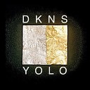 DKNS - Y O L O Original Mix
