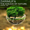 ZamirUfa - The Enigma of Nature Original Mix
