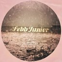 Sebb Junior - Rain On Me Original Mix