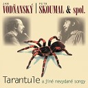Jan Vod ansk Petr Skoumal feat Sv tlana N… - Up ina