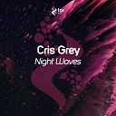 Cris Grey - Night Waves Radio Edit