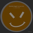 Dominik Vogel - Haunted Acid Healium Remix