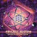 Psylent Buddhi - Moksha Original Mix