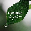 Oasis de Musique Nature Relaxante - Gouttes chaudes de pluie