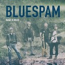 Bluespam - Worries on My Mind