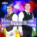 Florin Mitroi - Mi A Dat Mama O Inima