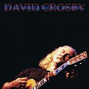 David Crosby - In My Dreams Live