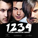 T killah - 1234 DJ Shishkin Remix