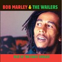 Bob Marley and The Wailers - Brand New Second Hand