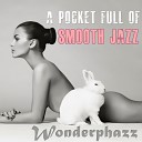 Wonderphazz - 17 Shades Cool Cocktail Bar Mix