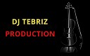 Dj Tebriz - Faded Remix New