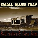 Small Blues Trap - Strange Melody