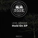 Level Groove - Hold On Original Mix
