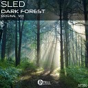 Sled - Dark Forest Original Mix