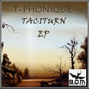 T Phonique - Ethnic Main Afro Feel Mix