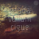 Panda Valium - Birika Original Mix