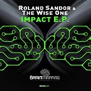 Roland Sandor The Wise One - Impact Original Mix