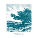 The Sycamore - Nel Paese dei Balocchi