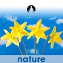 Nature s Magic - Cool Clear Spring