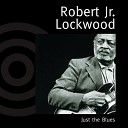 Robert Jr. Lockwood - For You My Love