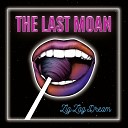 The Last Moan - Like a Fool