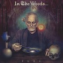 In The Woods - The Cave of Dreams