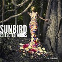 Sunbird - An Angels Love