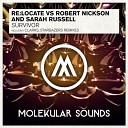 Re Locate Robert Nickson Sarah Russell - Survivor Stargazers Remix