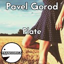 Pavel Gorod - Requiem M Original Mix