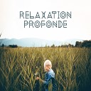 Relaxation Ambient - Concentration de respiration