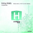 Micky Waltz - While You Were Sleeping