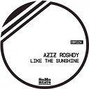 Aziz Roshdy - Flow Original Mix