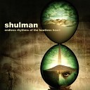 Shulman - Transmissions in Bloom