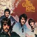 The Grass Roots - I Get So Excited