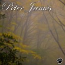 Peter James - I Skovens Dybe Stille Ro