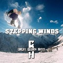 Chris Allen Hess - Stepping Winds