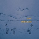 S P C - Bird s Lake Original Mix