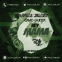 David Guetta feat Nicki Mina - Hey Mama Paul dub Sky Remix
