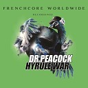 Dr Peacock - Enough for the Future Hyrule War Remix