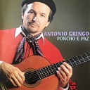 Antonio Gringo - Salseio de Esporas
