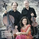 Trio Ceresio - Piano Trio No 1 in D Minor Op 32 I Allegro…