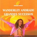Wanderley Andrade - Tchau Amor Estou Indo Embora