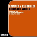 Gammer Klubfiller - Ordinary World Piju Pok Remix