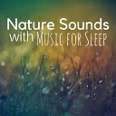 Liquid Sleep Music Club - Into the Wild River Music