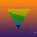 Norbit Housemaster - I Got What I Need Original Mix