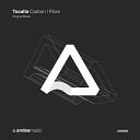 Tocalta - Carbon Original Mix