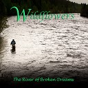 Wildflowers - The River of Broken Dreams